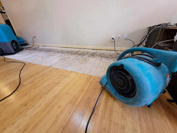 Professional Water Damage Repair technician working in Branchville, NJ